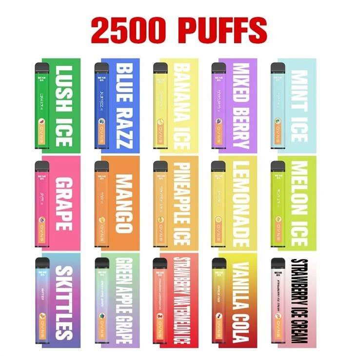 Ovns 2500 Puffs Disposable Vape