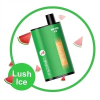 Best Disposable Vape For Nic Salts