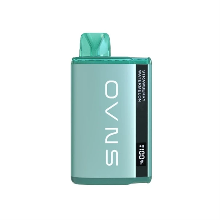Eliquid Status Display Disposable Vape
