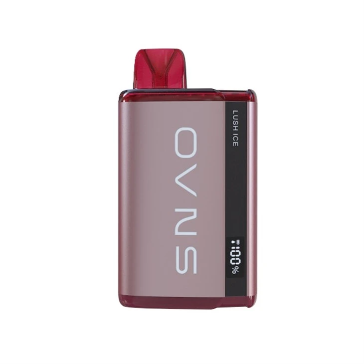Eliquid Status Display Disposable Vape