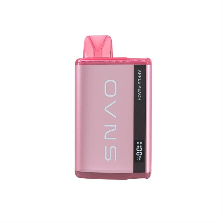 Eliquid Status Display Disposable Vape